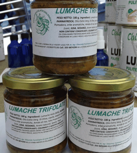 Lumache Trifolate in Vasetto
